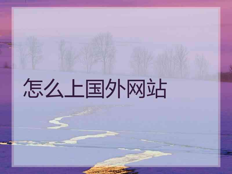 怎么上国外网站