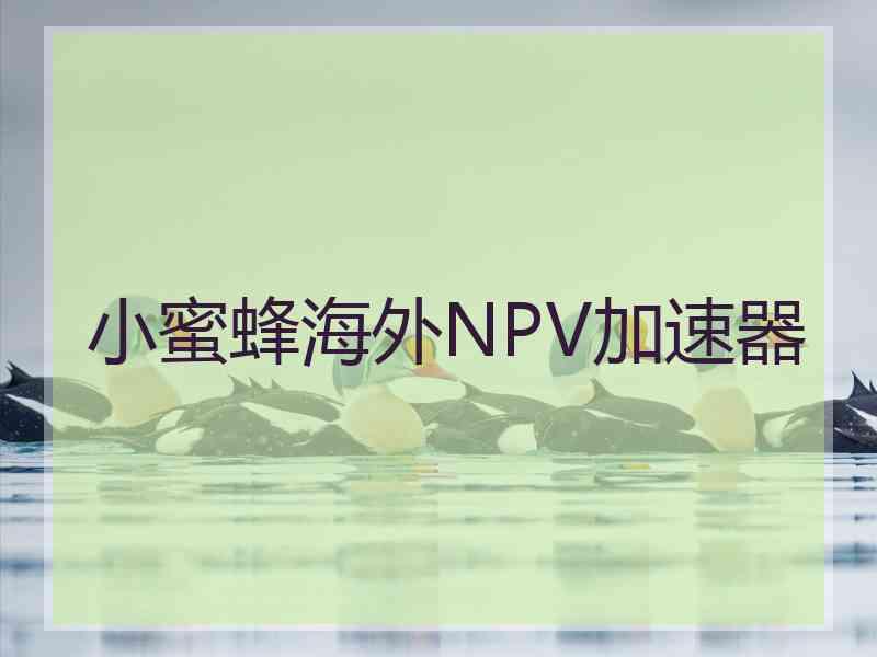 小蜜蜂海外NPV加速器