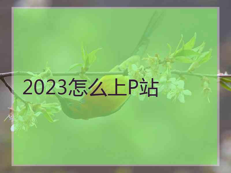 2023怎么上P站