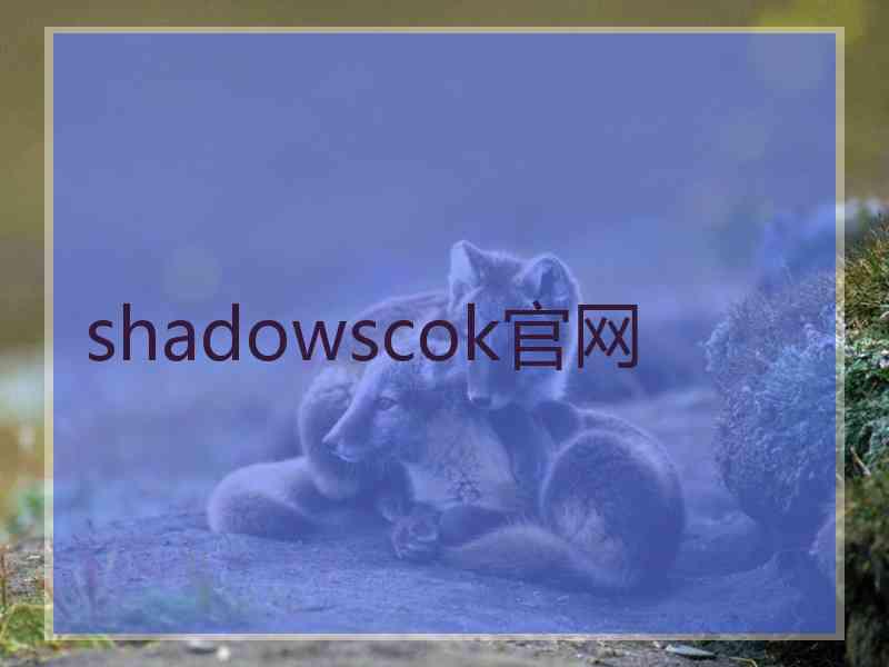 shadowscok官网