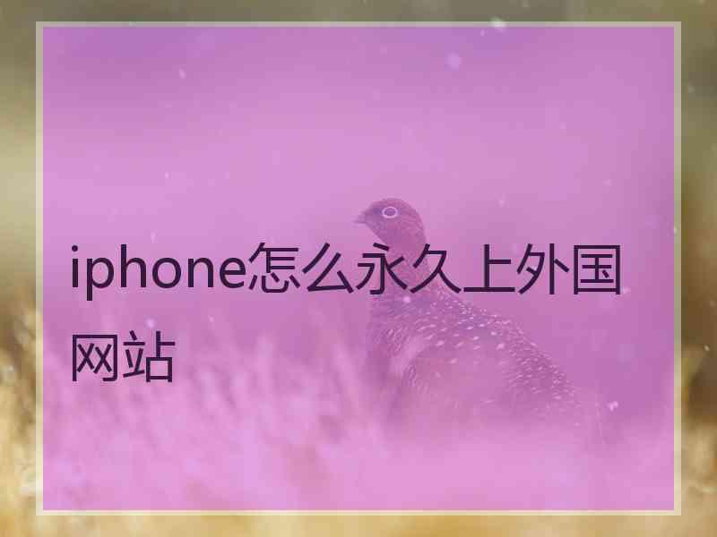 iphone怎么永久上外国网站