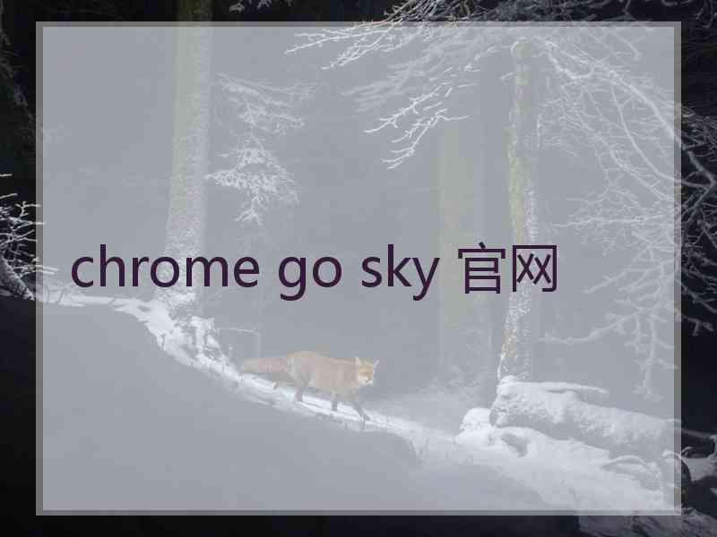 chrome go sky 官网