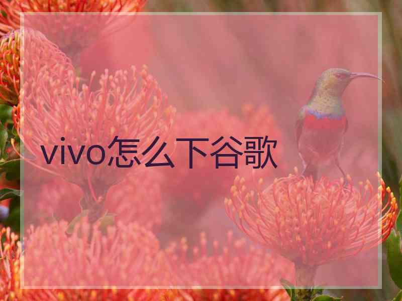 vivo怎么下谷歌