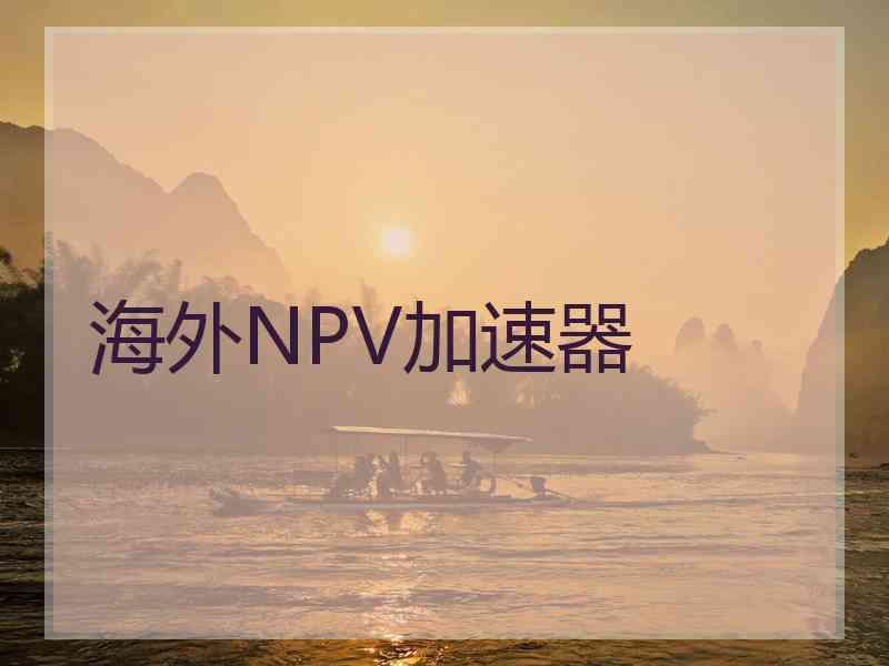 海外NPV加速器