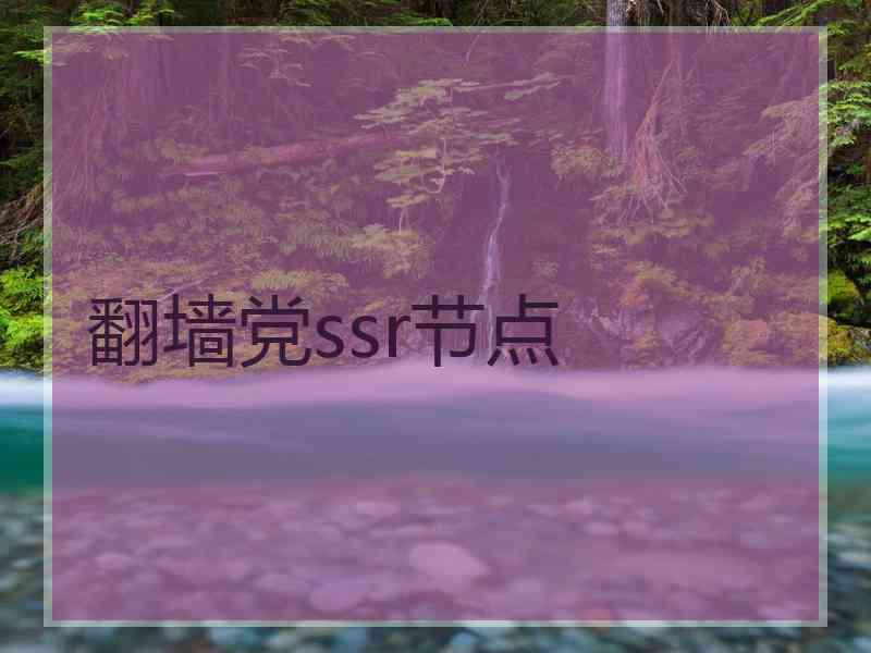 翻墙党ssr节点