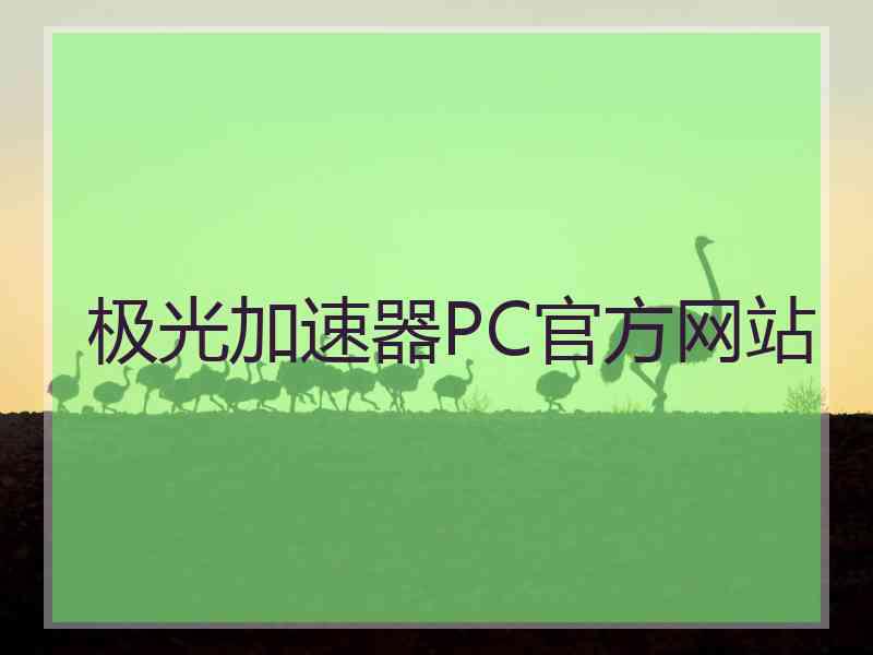 极光加速器PC官方网站