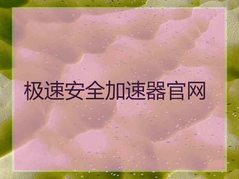 极速安全加速器官网