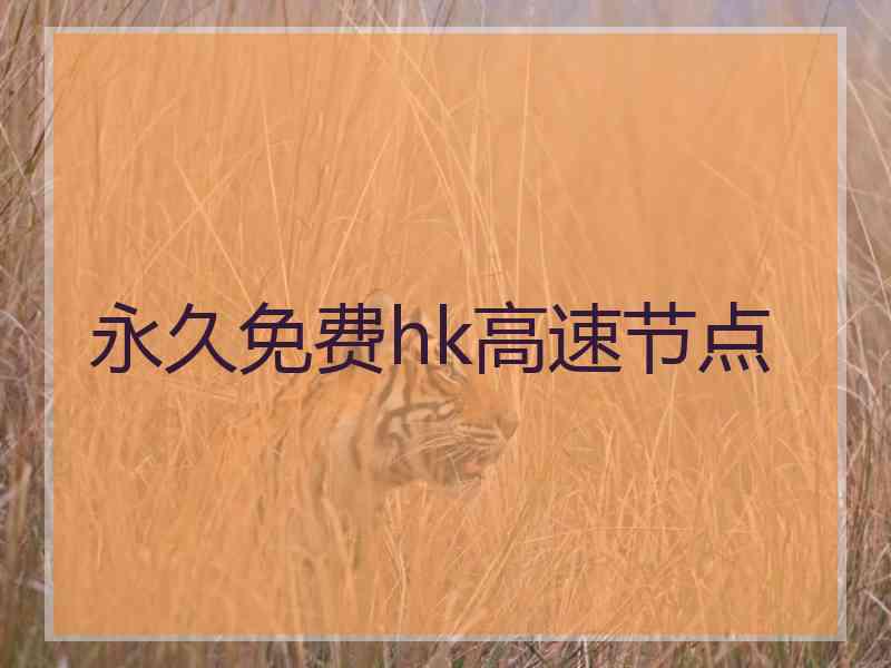 永久免费hk高速节点