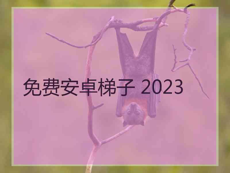 免费安卓梯子 2023