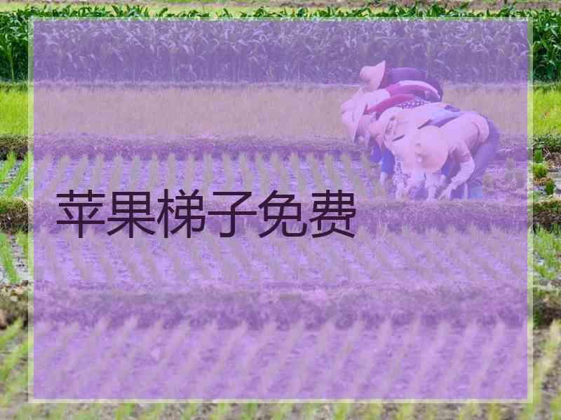 苹果梯子免费