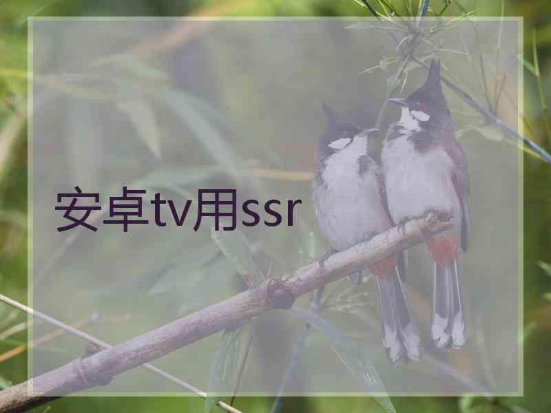 安卓tv用ssr