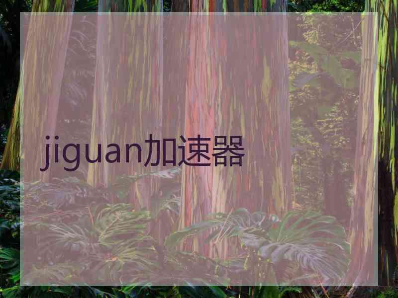 jiguan加速器