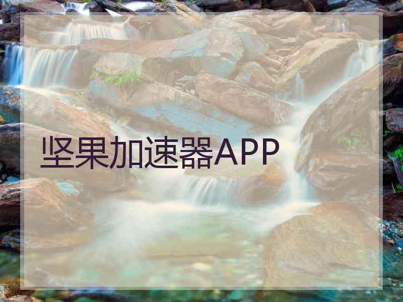 坚果加速器APP