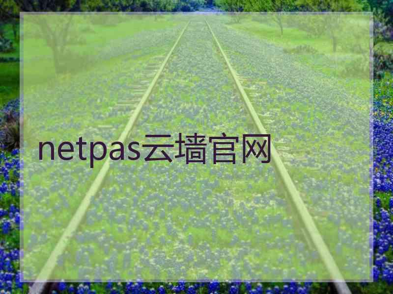 netpas云墙官网