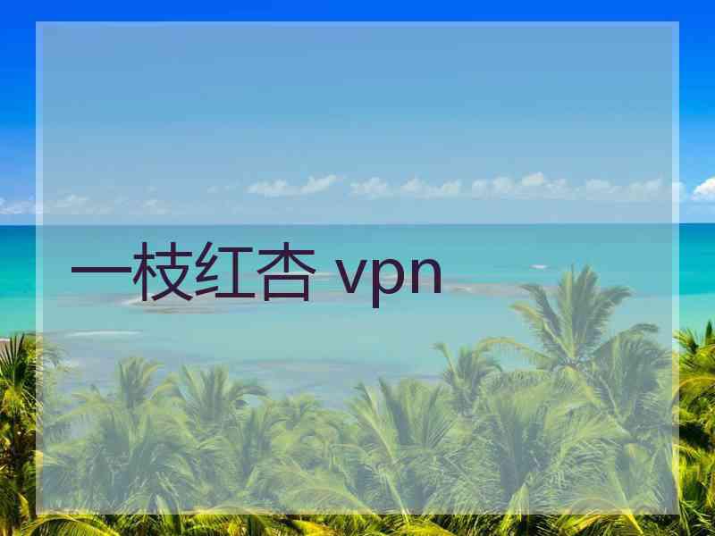 一枝红杏 vpn