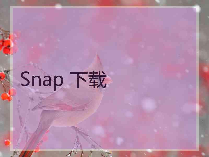 Snap 下载