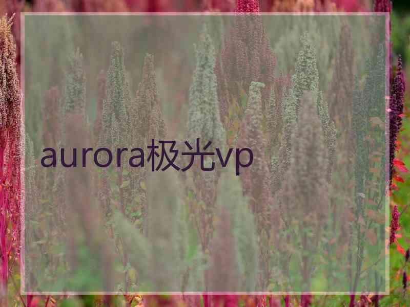 aurora极光vp