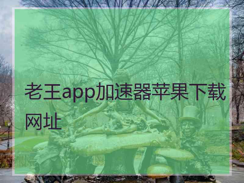 老王app加速器苹果下载网址