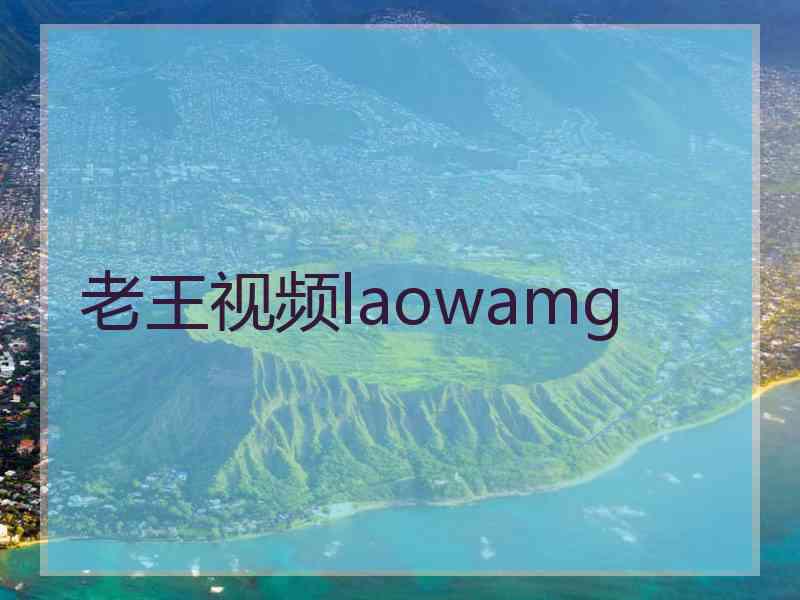 老王视频laowamg