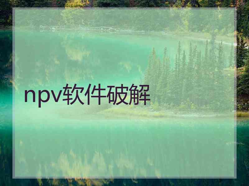 npv软件破解