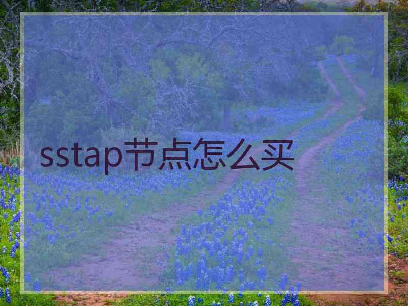 sstap节点怎么买