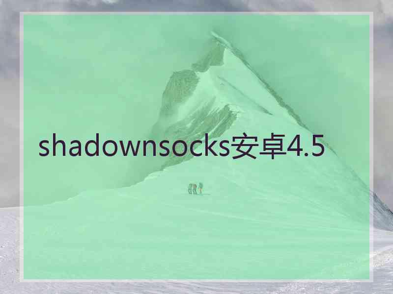 shadownsocks安卓4.5