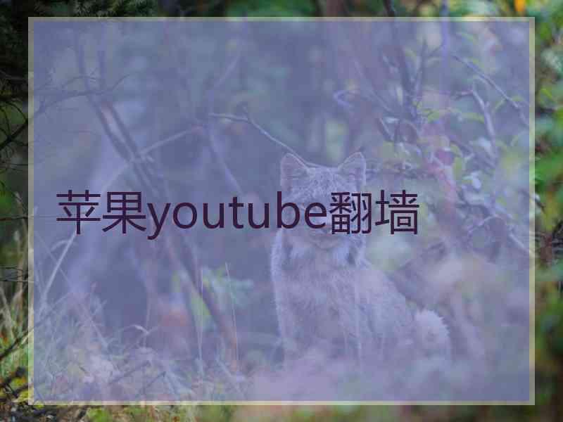 苹果youtube翻墙