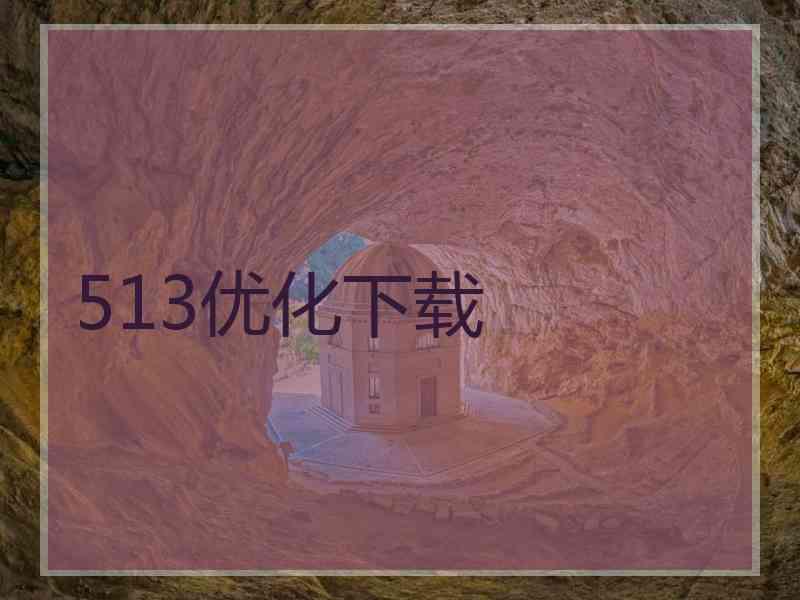 513优化下载