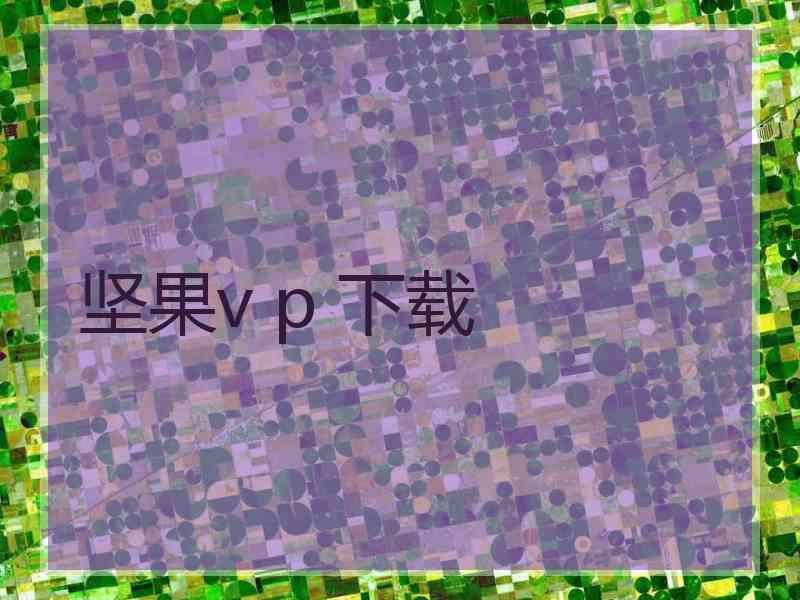 坚果v p 下载