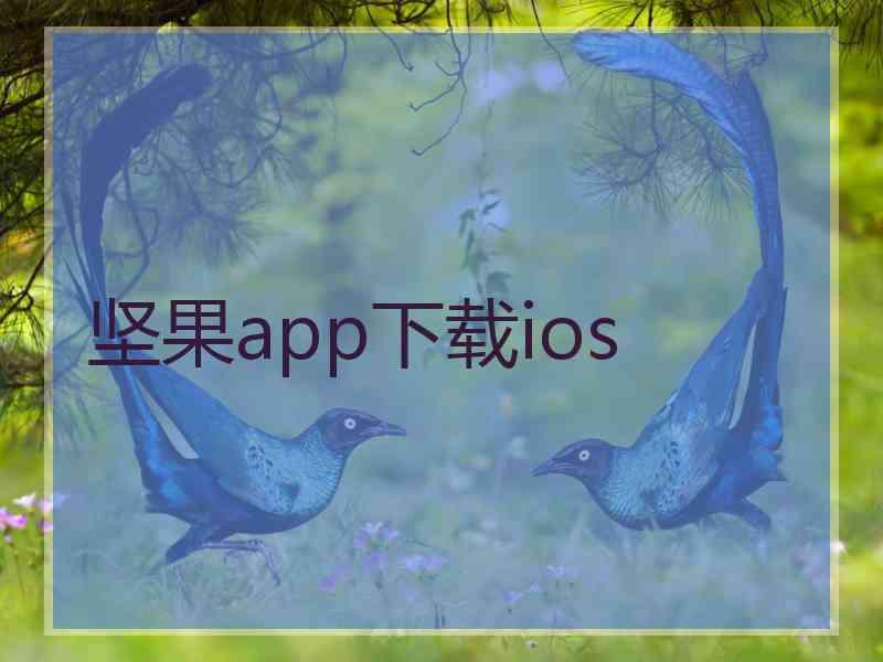 坚果app下载ios