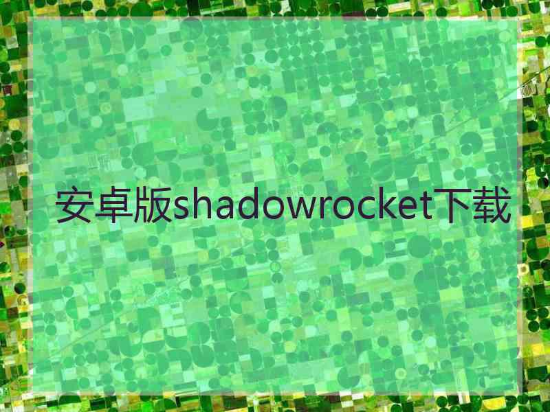 安卓版shadowrocket下载