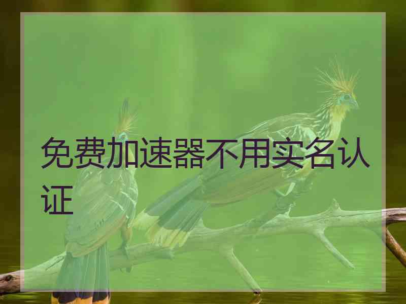 免费加速器不用实名认证