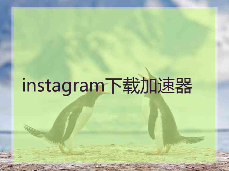 instagram下载加速器