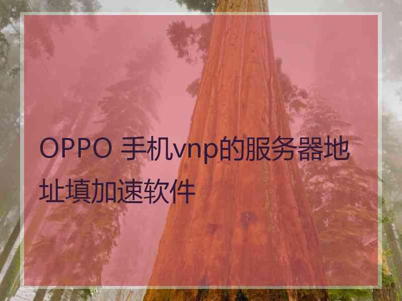 OPPO 手机vnp的服务器地址填加速软件