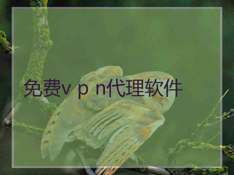 免费v p n代理软件