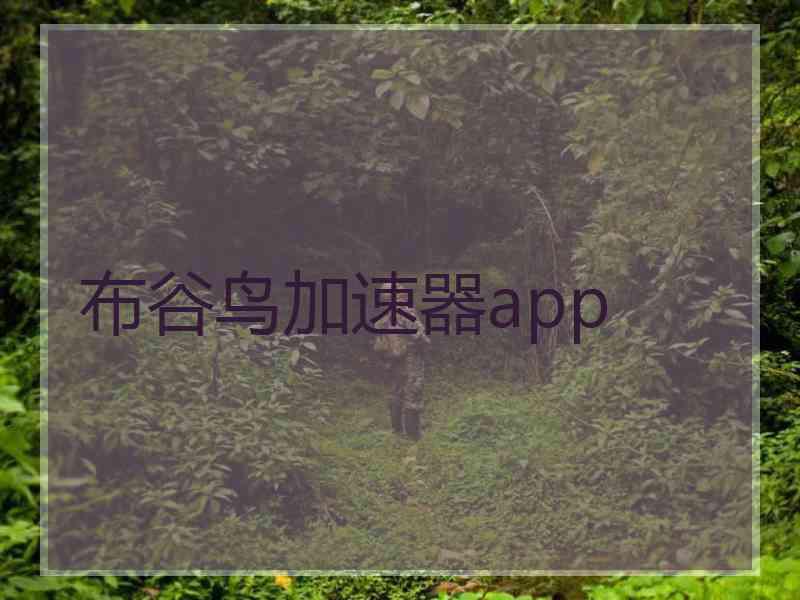 布谷鸟加速器app