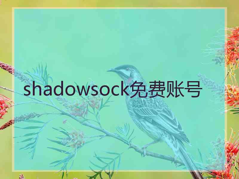 shadowsock免费账号