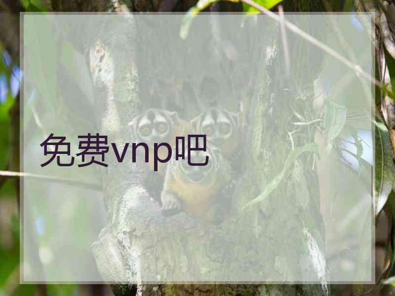 免费vnp吧