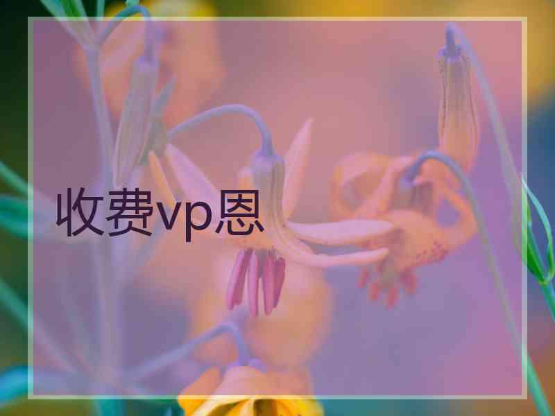 收费vp恩