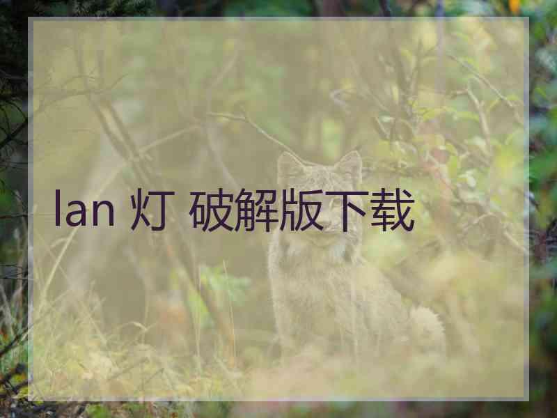 lan 灯 破解版下载