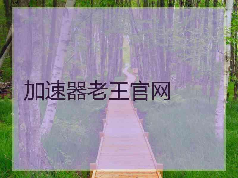 加速器老王官网