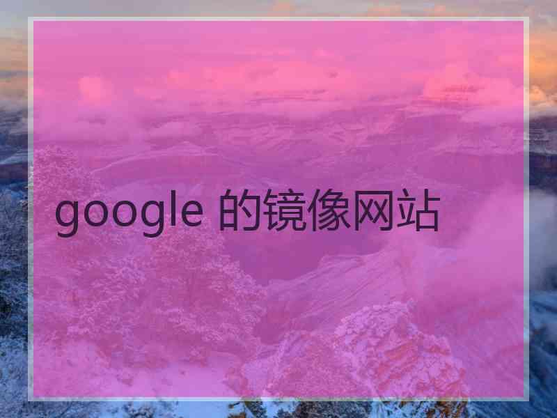 google 的镜像网站