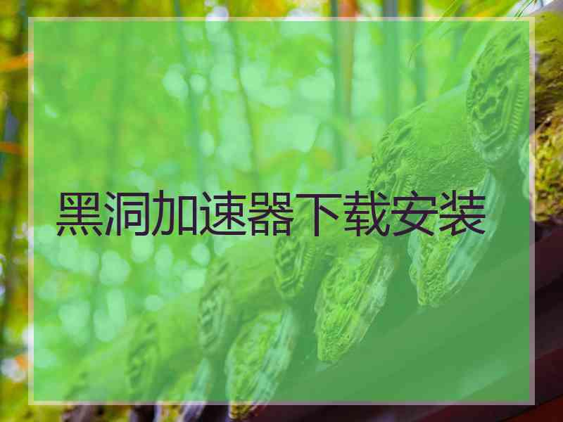 黑洞加速器下载安装