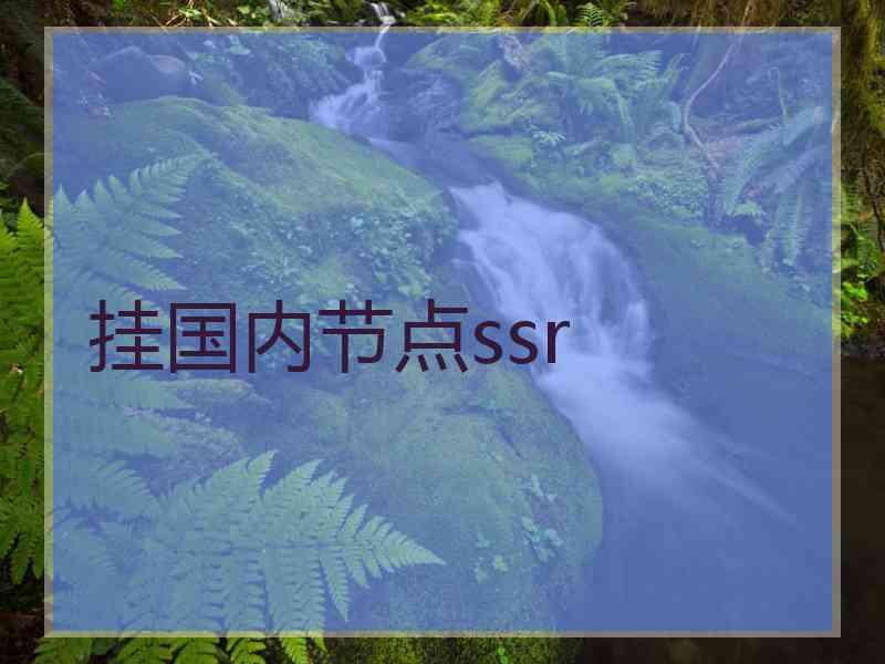 挂国内节点ssr