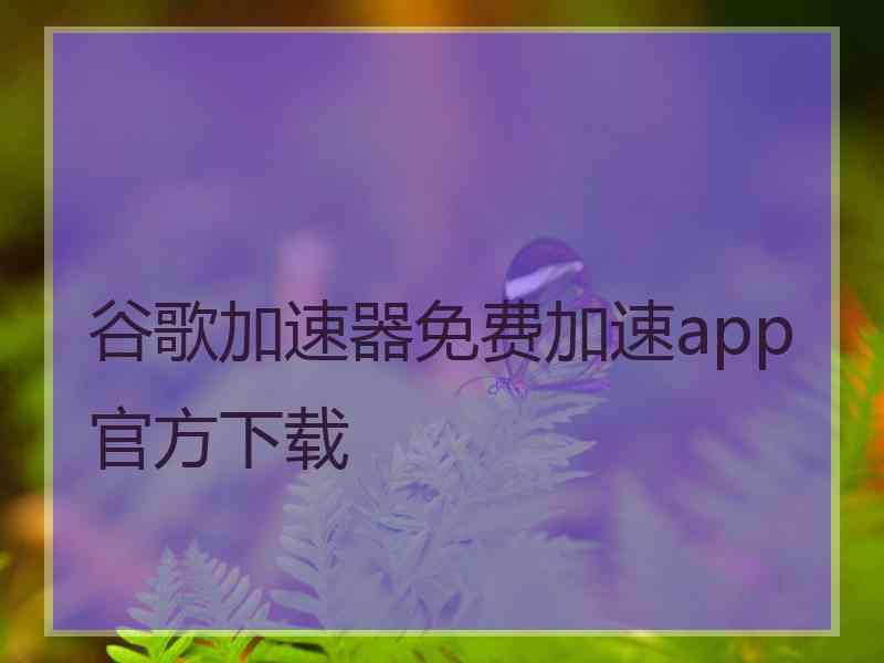 谷歌加速器免费加速app官方下载