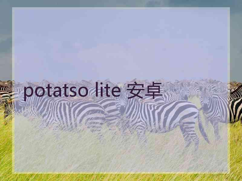 potatso lite 安卓