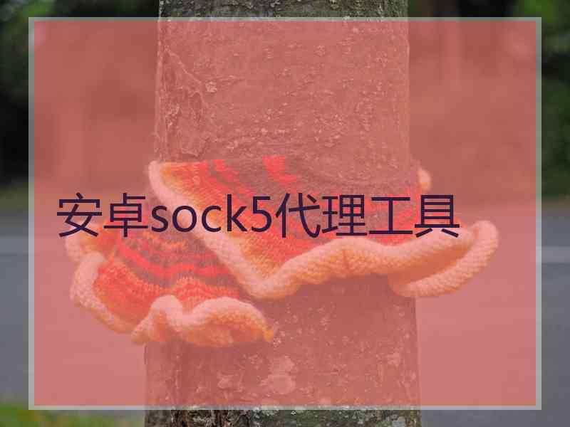 安卓sock5代理工具