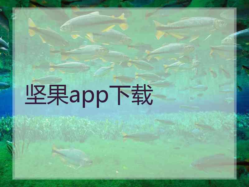 坚果app下载