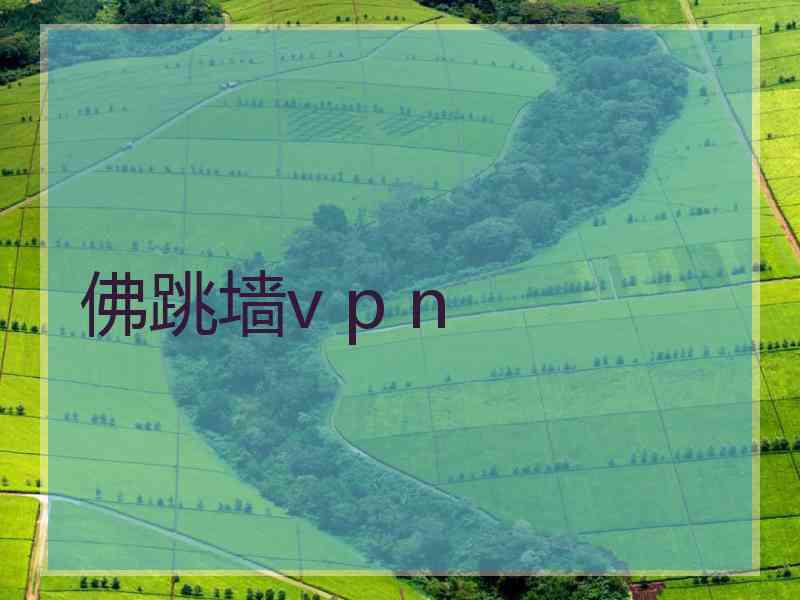 佛跳墙v p n