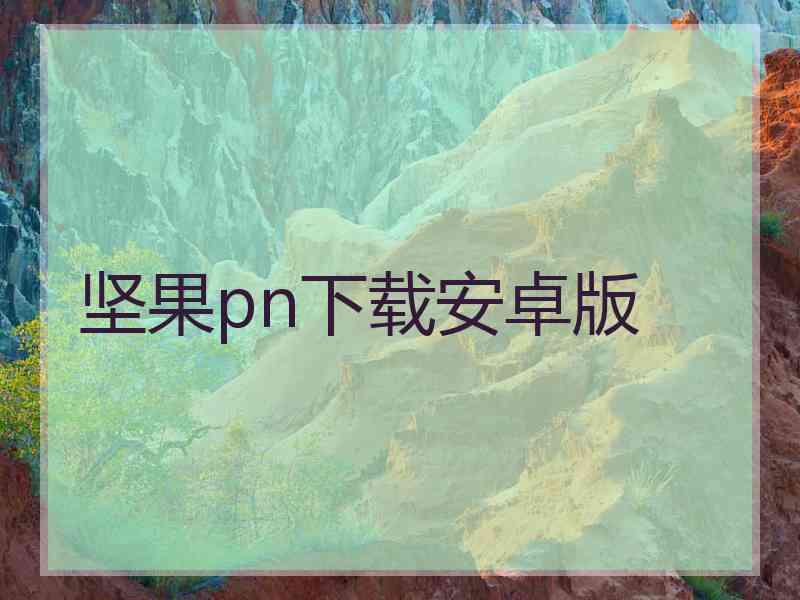 坚果pn下载安卓版